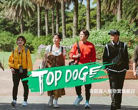51爆料官网《TOP DOG》免费在线观看