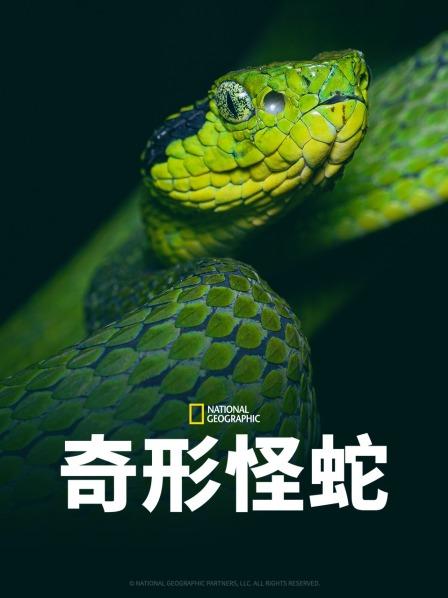51爆料官网首页《奇形怪蛇》免费在线观看